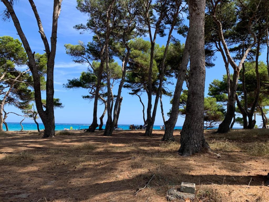 Appartamento 3a Cala Varques 100 Mts From Pool Chill-out Terrace With Awesome Views